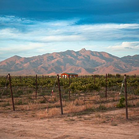 Casa Barbera At Tirrito Farm Villa Willcox Exteriör bild